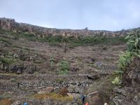 Barranco bei El Cercado/La Gomera/Kanaren