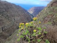 Barranco bei El Cercado/La Gomera/Kanaren