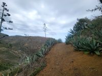 Wanderung von Rosas zum Mirador de Abrante/La Gomera/Kanaren