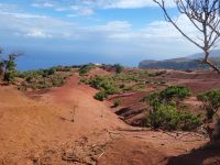 rote Dünenlandschaft bei Mirador de Abrante/La Gomera/Kanaren