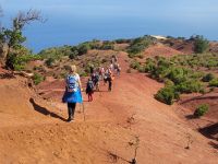rote Dünenlandschaft bei Mirador de Abrante/La Gomera/Kanaren