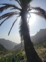 Imada/Blick in den Barranco de Guarimiar/La Gomera/Kanaren