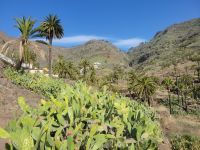 Imada/La Gomera/Kanaren