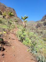 Barranco de Guarimiar/La Gomera/Kanaren