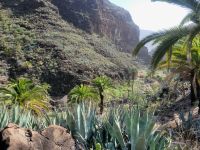 Barranco de Guarimiar/La Gomera/Kanaren