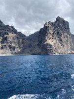 Buenavista del Norte