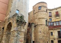 Kathedrale von Barcelona. Silvester in Barcelona (Petit).