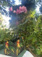 Orchideengarten Puerto de la Cruz