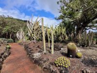 0305 Botanischer Garten &ndash; &copy; Jörg Nesse (Eberhardt TRAVEL)