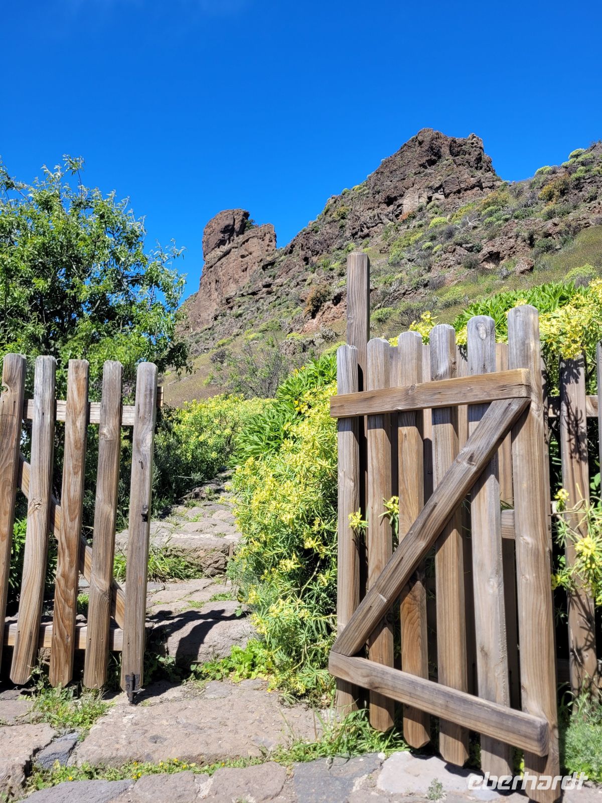 0501 unterwegs im Inselinneren &ndash; &copy;  (Eberhardt TRAVEL)