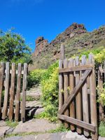 0501 unterwegs im Inselinneren &ndash; &copy; Jörg Nesse (Eberhardt TRAVEL)