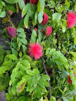 0507 unterwegs im Inselinneren &ndash; &copy; Jörg Nesse (Eberhardt TRAVEL)