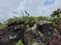 0509 unterwegs im Inselinneren &ndash; &copy; Jörg Nesse (Eberhardt TRAVEL)