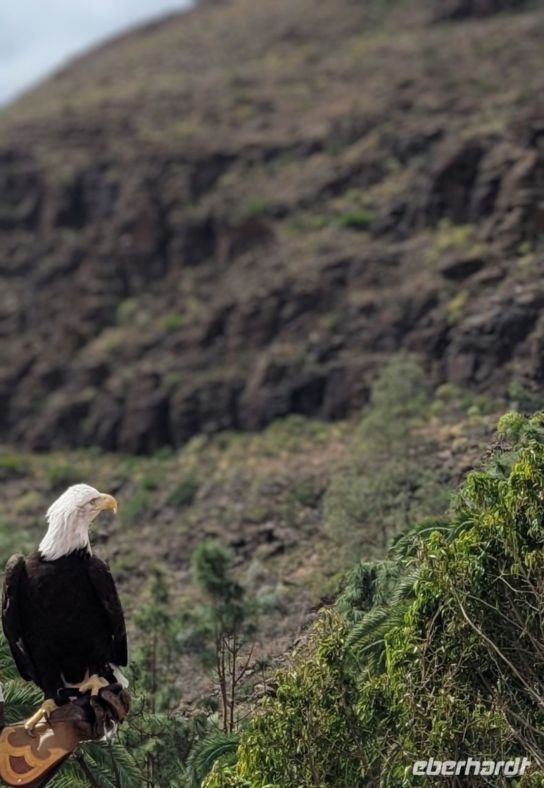 0603 Palmitos Park &ndash; &copy;  (Eberhardt TRAVEL)