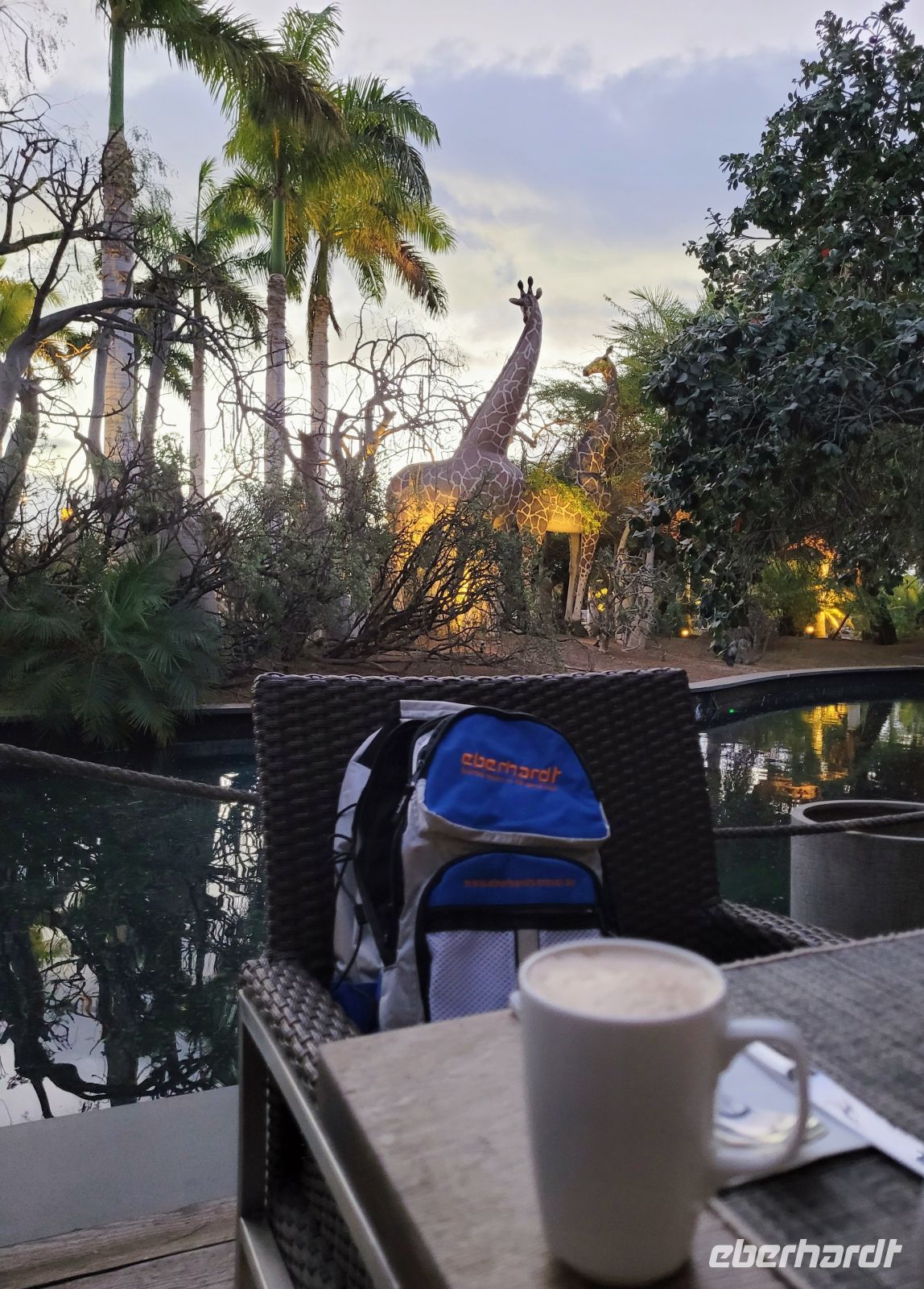 0801 bereit zur Heimreise &ndash; &copy;  (Eberhardt TRAVEL)