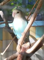 Orchideengarten/Puerto de la Cruz/Teneriffa/Kanaren &ndash; &copy; Susanne Hofen (Eberhardt TRAVEL)