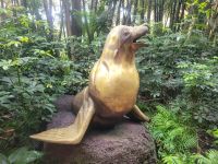 Seelöwe/Loro Park/Puerto de la Cruz/Teneriffa/Kanaren &ndash; &copy; Susanne Hofen (Eberhardt TRAVEL)