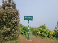 Alto de Garajonay/Garajonay Nationalpark//La Gomera/Kanaren &ndash; &copy; Susanne Hofen (Eberhardt TRAVEL)