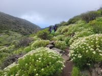 Garajonay Nationalpark/La Gomera/Kanaren &ndash; &copy; Susanne Hofen (Eberhardt TRAVEL)