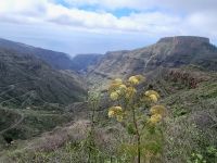 Fortaleza Massiv/Garajonay Nationalpark/La Gomera/Kanaren &ndash; &copy; Susanne Hofen (Eberhardt TRAVEL)