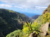 Barranco bei Las Hayas/La Gomera/Kanaren &ndash; &copy; Susanne Hofen (Eberhardt TRAVEL)