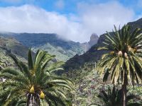 Barranco de Guarimiar/La Gomera/Kanaren &ndash; &copy; Susanne Hofen (Eberhardt TRAVEL)