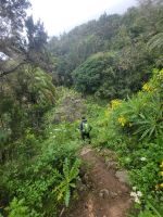 Wanderung von Las Rosas zum Mirador de Abrante/La Gomera/Kanaren &ndash; &copy; Susanne Hofen (Eberhardt TRAVEL)
