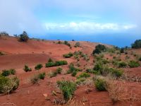 rote Dünenlandschaft bei Mirador de Abrante/La Gomera/Kanaren &ndash; &copy; Susanne Hofen (Eberhardt TRAVEL)