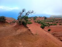 rote Dünenlandschaft bei Mirador de Abrante/La Gomera/Kanaren &ndash; &copy; Susanne Hofen (Eberhardt TRAVEL)