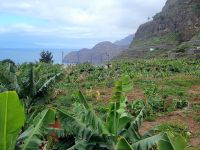 Agulo/La Gomera/Kanaren &ndash; &copy; Susanne Hofen (Eberhardt TRAVEL)