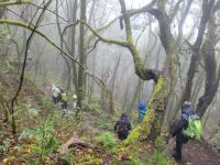 El Cedro Nebelwald/Garajonay-Nationalpark/La Gomera/Kanaren &ndash; &copy; Susanne Hofen (Eberhardt TRAVEL)