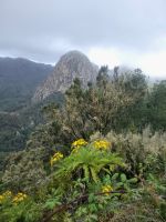 Garajonay-Nationalpark/La Gomera/Kanaren &ndash; &copy; Susanne Hofen (Eberhardt TRAVEL)