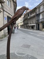 Spanien, Pontevedra, Papagei Ravachol &ndash; &copy; Sabine C. Seifert (Eberhardt TRAVEL)