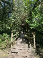 Spanien, Portugiesischer Jakobsweg durch den Auenwald Senda Fluvial do río Gafos &ndash; &copy; Sabine C. Seifert (Eberhardt TRAVEL)
