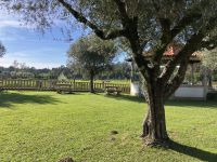 Portugal, Pilgerweg &ndash; &copy; Sabine C. Seifert (Eberhardt TRAVEL)