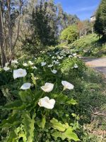 Portugal, auf dem portugiesischen Jakobsweg &ndash; &copy; Sabine C. Seifert (Eberhardt TRAVEL)