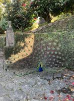 Portugal, Porto, im Jardins du Palais de Cristal &ndash; &copy; Sabine C. Seifert (Eberhardt TRAVEL)