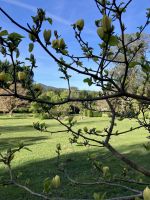 Spanien, Pazo Rubiañes, Magnolien &ndash; &copy; Sabine C. Seifert (Eberhardt TRAVEL)