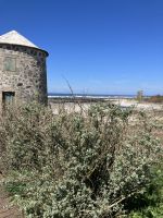 Portugal, Camino Portugués, Küstenwanderung &ndash; &copy; Sabine C. Seifert (Eberhardt TRAVEL)