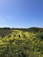 Portugal, Camino Portugués, Küstenwanderung &ndash; &copy; Sabine C. Seifert (Eberhardt TRAVEL)