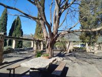 Gastgarten &ndash; &copy; Kerstin Veit (Eberhardt TRAVEL)