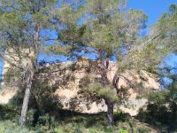 Außenansicht Castell &ndash; &copy; Kerstin Veit (Eberhardt TRAVEL)