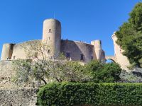 IMG_20260318_111112.jpg &ndash; &copy; Kerstin Veit (Eberhardt TRAVEL)