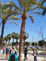 Promenade &ndash; &copy; Kerstin Veit (Eberhardt TRAVEL)