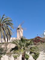 auch DIE gibt es noch &ndash; &copy; Kerstin Veit (Eberhardt TRAVEL)