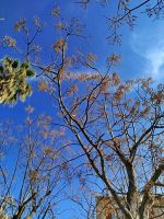 IMG_20260320_095304.jpg &ndash; &copy; Kerstin Veit (Eberhardt TRAVEL)