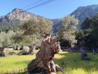 Tramuntana Gebirge &ndash; &copy; Kerstin Veit (Eberhardt TRAVEL)
