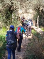 IMG_20260320_103656.jpg &ndash; &copy; Kerstin Veit (Eberhardt TRAVEL)