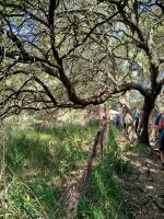 IMG_20260320_114637.jpg &ndash; &copy; Kerstin Veit (Eberhardt TRAVEL)