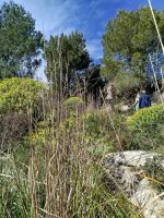 IMG_20260320_115220.jpg &ndash; &copy; Kerstin Veit (Eberhardt TRAVEL)